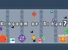 Βασίλειο του Ninja 7